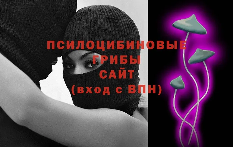 Псилоцибиновые грибы Cubensis  блэк спрут ONION  Починок 